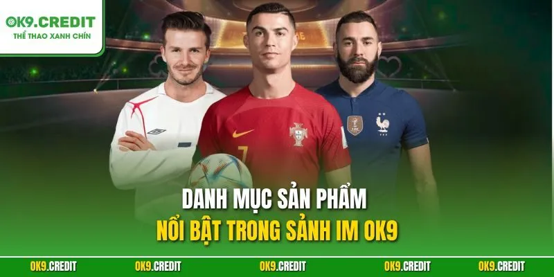 Danh mục sản phẩm nổi bật trong Sảnh IM OK9