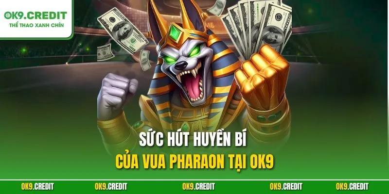 Sức hút huyền bí của Vua Pharaon tại OK9